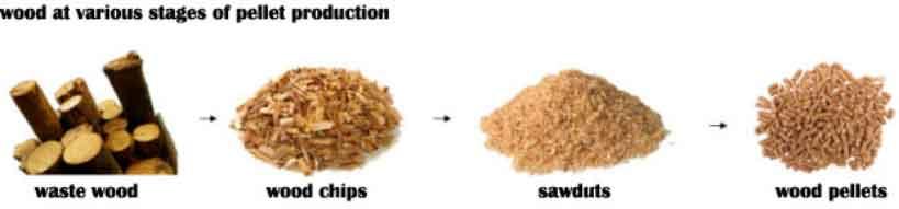 wood at various stages of pellet production