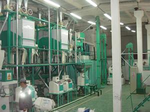 15-30T-small-scale-flour-mill-workshop