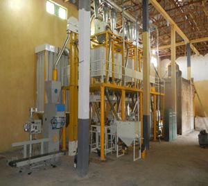 250T flour mill plant