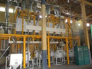 40T wheat flour plant underconstruction