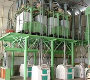 80T large scale flour mill line