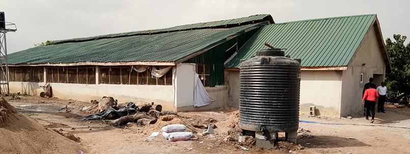 A small scale poutry breeding factory in Abuja