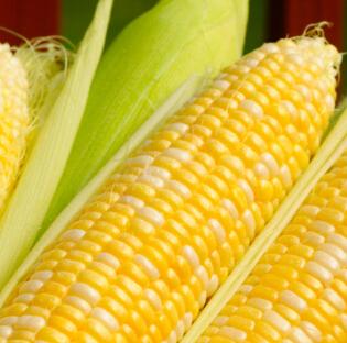 corn