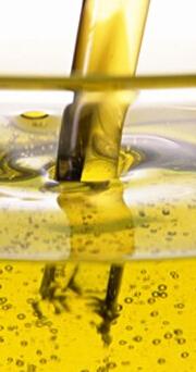 cottonseed oil