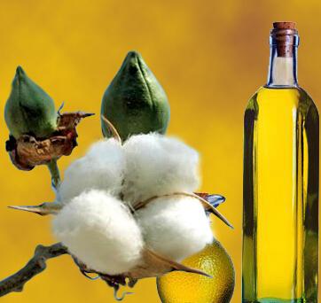 cottonseed oil