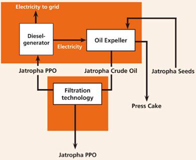 jatropha oil processing chart