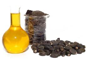 jatropha oil