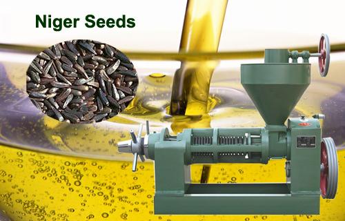 Niger Seed Oil Extraction Machine