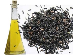 Niger Seed and Niger Seed Oil