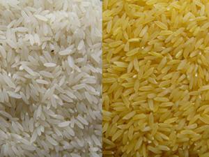 raw material-rice