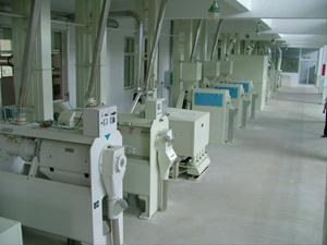 rice millling machinery