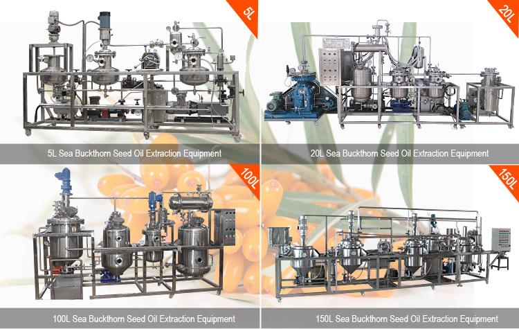 seabuckthorn seed oil extracting machines