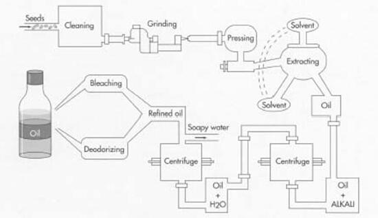 soybean oil processing