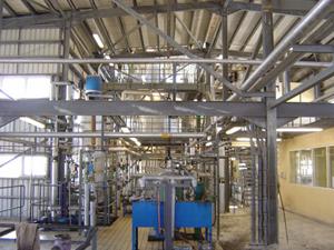 sunflower oil plant