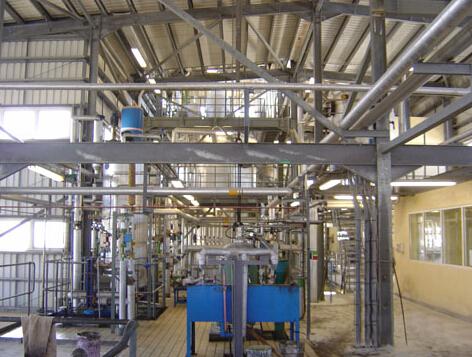 sunflower oil plant