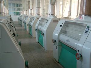 200T-500T wheat flour milling plant