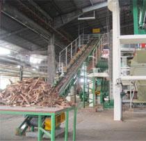 biomass pellet mill projects