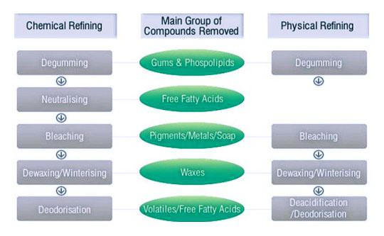 Edible Oil Refining