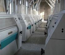 flour mill projects