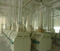 flour mill projects